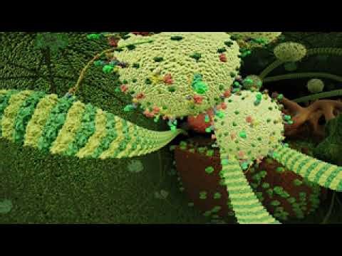 Searching for New Bioactive Substances with the BiMM Research Platform