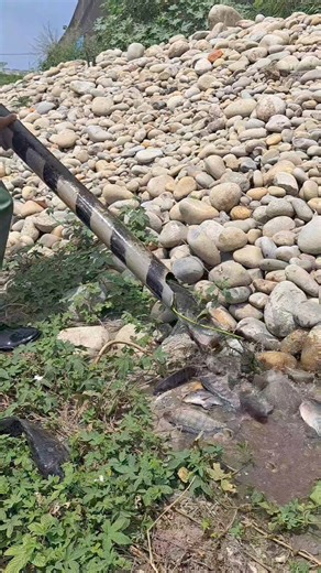 26K views · 112 reactions | Trapping system | PVC Pipe fishing  | Efriends Tv | Facebook