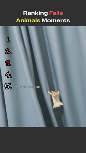 😂 Animals Failing in the Epic Way | Animal Fails Ranking #shorts