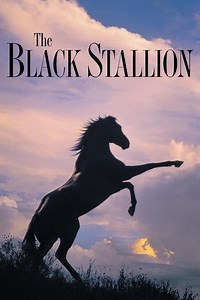 The Black Stallion - CompareTV