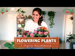 Best Flowering Plants for Indoors and Outdoors & their complete care