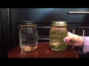 Glycerin vs baby oil