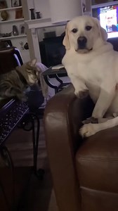 Quand elle veut changer de chaîne ! 🤣 | Ayme Julien