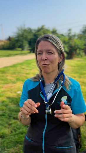 🐶 Et si votre chien était malade... à cause de ce que vous mettez dans sa gamelle ? Vous aimez votre animal. Vous voulez ce qu’il y a de mieux pour lui. Mais si ce que vous lui donnez à manger chaque jour était en réalité la cause de ses problèmes de santé ? Je suis Carine Resteghini, vétérinaire naturopathe, et je vous propose une conférence en ligne 100% offerte pour découvrir : ✅ Pourquoi certaines croquettes "premium" ne sont pas si inoffensives ✅ Ce qu’est vraiment l’alimentati