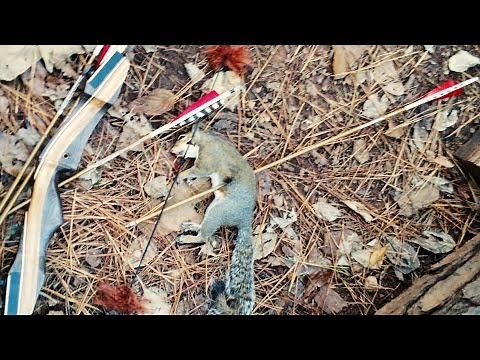 [GRAPHIC] Squirrel Kill with Recurve Bow! Skinning and Cleaning the fast way.