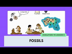 The Stories Fossils Tell