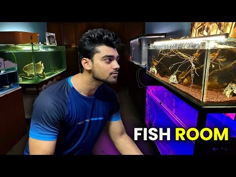 Finally Setting Up My FISH ROOM!! 🐟🎉 (You Won’t Believe This Setup 😱)