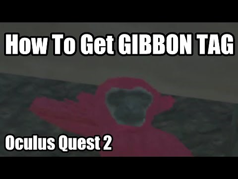 How To Get Gibbon Tag On An Oculus Quest 2
