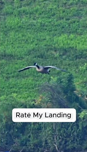 Rate My Landing - Perfect timing 💪🥇