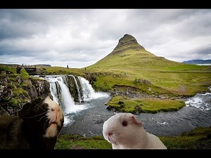 Islandia - położenie, krajobraz, wulkany, gejzery, atrakcje turystyczne (geografia lekcja online)