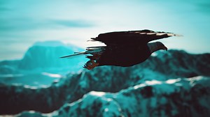 slow motion american bald eagle in flight over alaskan mountains