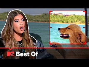 Animals Acting Ridiculousnessly Like Humans 🤔 Ridiculousness