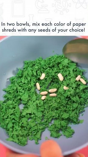 Earth Day Seed Bombs | Celebrate Earth Day | STEM for Kids #shorts