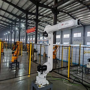 [Hot Item] Chinese Industrial Robot Manufacturers Provides 6-Axis Small Load 30kg Palletizer