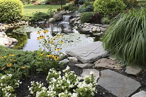 4 Popular Landscaping Projects That Just Aren’t Worth The Money - AOL