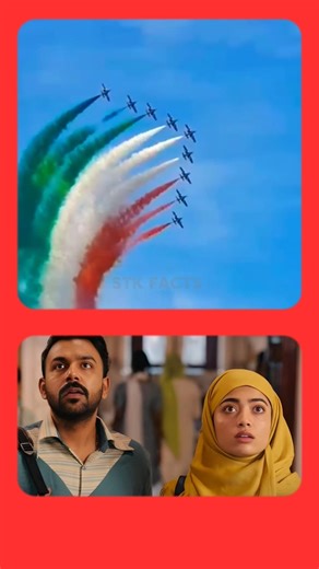 చికెన్ ను పక్షులకు వేసారా 😱🤯 | STK FACTS