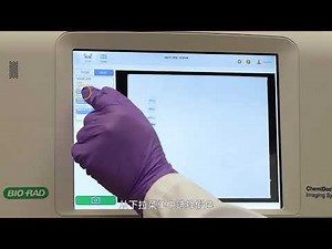 如何使用新型ChemiDoc MP成像系统进行多重荧光蛋白质印迹成像