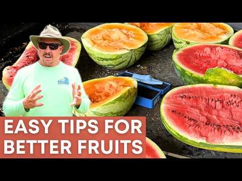 9 Watermelon Growing Tips Every Gardener Should Know