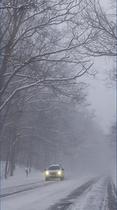 Can trees 'explode' during winter weather?