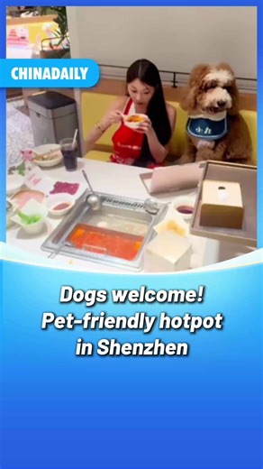 2.9K views · 280 reactions | #OneMoment #Shenzhen has opened China's first #pet-friendly #hotpot restaurant! Dogs can get dressed and groomed in their own dedicated wardrobe space and then enjoy a meal together with their owner. The restaurant not only prepares exclusive pet food like chicken breast and cream cups but also offers #dog birthday celebrations. #FunChina #fun #animals | China Vibes | Facebook