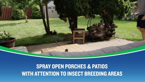 Cutter Backyard Bug Control Outdoor Fogger, Kills Mosquitoes, Fleas & Listed Ants, 16 Ounce, 3 Pack