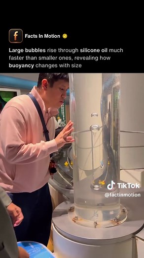 Bubble Rise in Silicone Oil: Visual Physics of Buoyancy