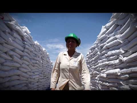 In Peru, Fishing Less Anchoveta Pays Off