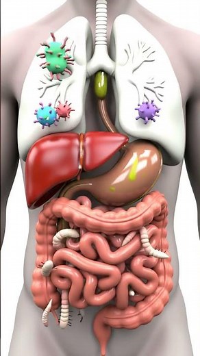 What’s REALLY Inside Your Intestines | 3D Digestive System Animation