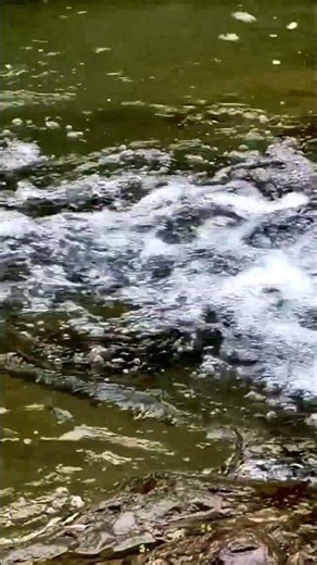 Rushing river water bubbling over dark rocks for deep sleep and insomnia relief