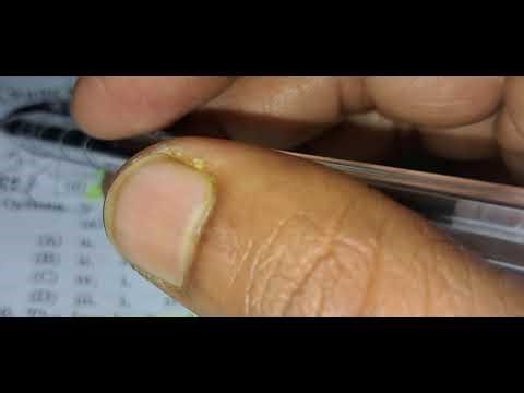 CONSTITUTION OF INDIA | Top 50 Solved MCQs on INDIAN CONSTITUTION for All Competitive Exams : Part 8