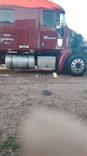 Lavando al tremendo está en vivo