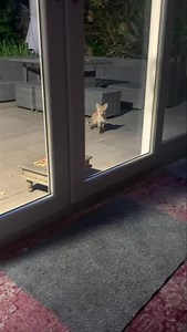 13K views · 4.6K reactions | Please read for the Nut Fairy 栗‍♂️ If anyone would like to support Mr Lumpy & Friends and our causes, purchases and donations help in the online shop https://www.mrlumpyandfriends.com/donate Www.mrlumpyandfriends.shop/shop Thank you  栗‍♀️ | Mr Lumpy & Friends. | Facebook