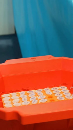 Measuring lactate levels to optimize workout intensity and improve performance. 🏋️‍♀️🔬 #CraftingVictories 🇮🇳 #fitness #science #lactatetes | Inspire Institute of Sport