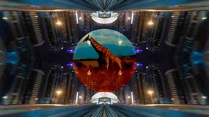 Slow Magic - Circle °