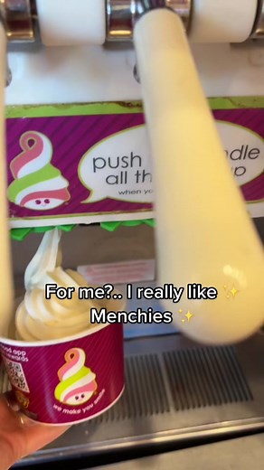 Delicious Menchies Frozen Yogurt in Utah