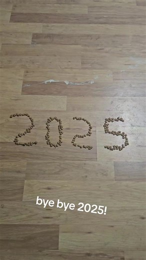 bye bye 2025 cat addition #cat2025addition