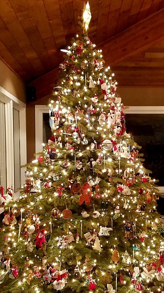 Tips for keeping your Christmas tree looking fresh during the holidays