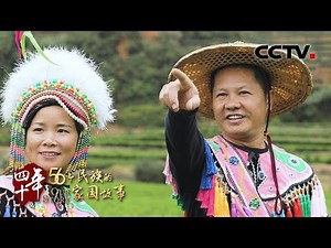 高山族：高山族儿女有句心里话 | CCTV