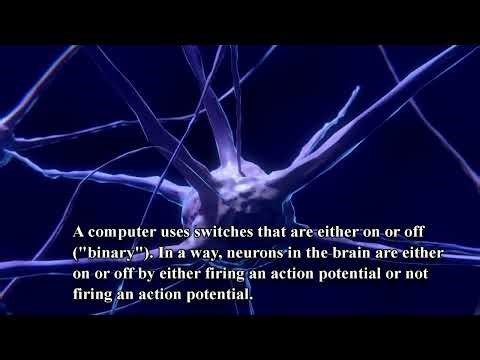 Human brain 🧠 vs computer and AI.Tekinologiya