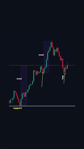 The best forex trading tips for Beginners