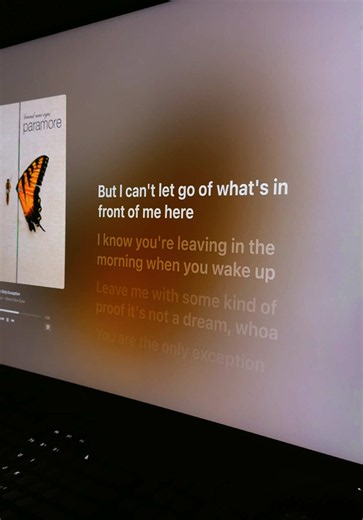 the only exception #paramore #rock #lyrics #fyp | The Only Exception - Paramore