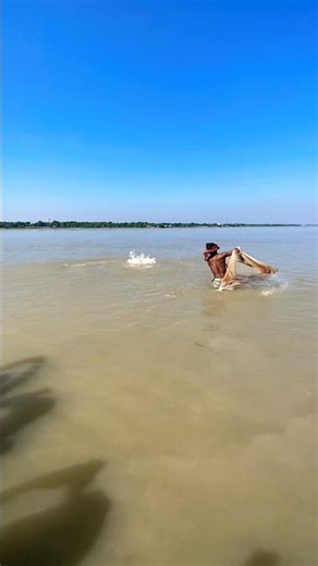 Full Net Loading#FullNetLoad #FullCatch #LoadedNet #HeavyCatch #MassNetCatch