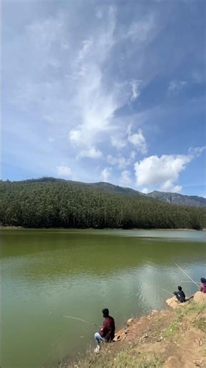 Munnar | Shooting Locations | Must Visit places | Movie Spots in Munnar | Kerala #short #viral #fyp