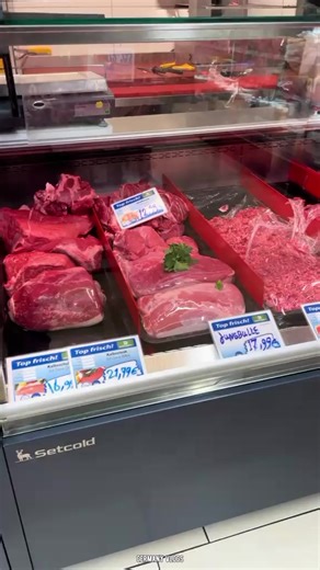 Exploring Germany: A Journey Through Vlogs