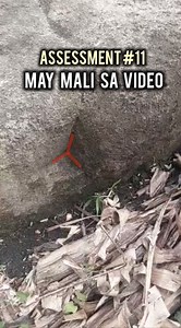 assessment #11 may mali sa video Niya Yamashita treasure hunting guide | Code Reader 金