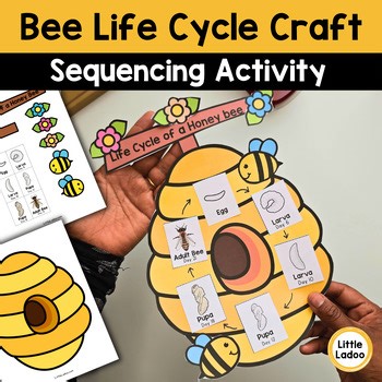 Bee Life Cycle Craft | Sequencing Cut and Paste Activity  | Spring Science Craft