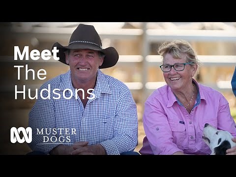 Meet the suppliers of the sought after Muster Dogs Australian Border Collies | ABC Australia