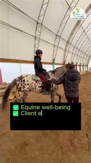 Equine Therapy Programs Need This!