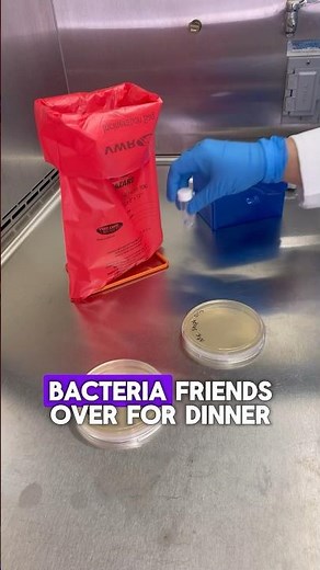 Making agar plates for growing bacteria 🦠🧫#microbiology #science #laboratory