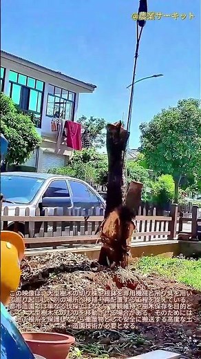 自治体の造園における秘訣：プロが大きな切り株を除去する方法：樹木の移植とリギングの手順をステップバイステップで解説